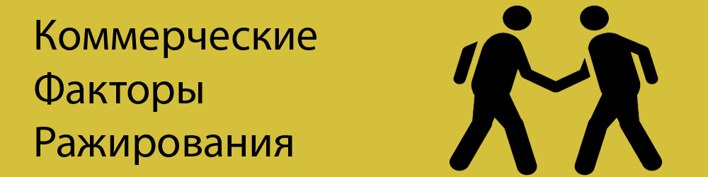 Факторы, влияющие на коммерческое ранжирование сайтов в поиске